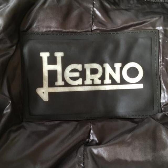 HERNO(ヘルノ)のヘルノ ダウンコート サイズ44 L 冬物 レディースのジャケット/アウター(ダウンコート)の商品写真