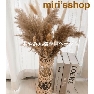 パンパスグラス　プルームリードセット(ドライフラワー)