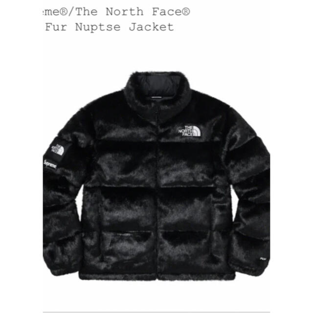 Supreme The North Face Faux Fur Nuptse M