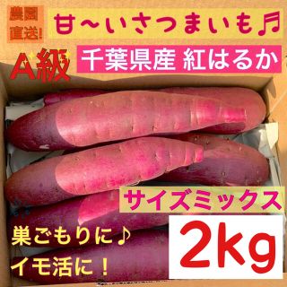 千葉県産　サツマイモ　熟成紅はるか　サイズミックス2kg(野菜)