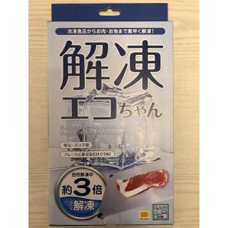 新品 藤田金属 解凍エコちゃん(解凍プレート)(その他)