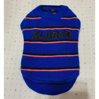 エクストララージ(XLARGE)の難あり エクストララージ XLARGE ボーダー ニット XS ブルー 青 黒(犬)