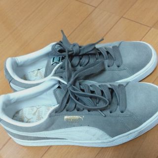 プーマ(PUMA)のpuma suede26.0(スニーカー)