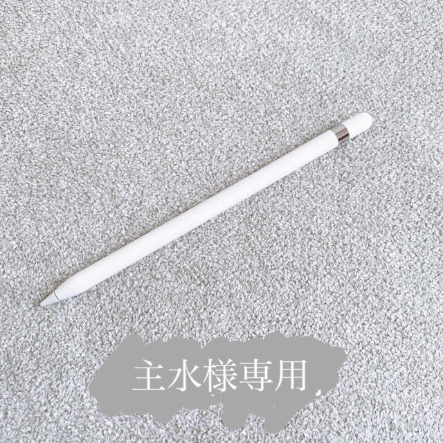 Apple Pencil （第1世代 MK0C2J/A）