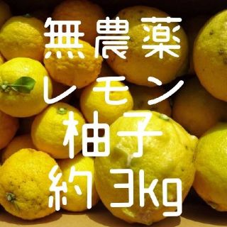 柚子 レモン 無農薬 傷あり 約3kg 加工用 詰め合わせ(フルーツ)