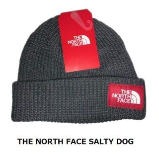 ザノースフェイス(THE NORTH FACE)のTHE NORTH FACE SALTY DOG BEANIE Grey (ニット帽/ビーニー)