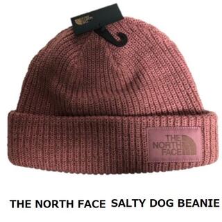 ザノースフェイス(THE NORTH FACE)の SALTY DOG BEANIE MESA ROSE(ニット帽/ビーニー)