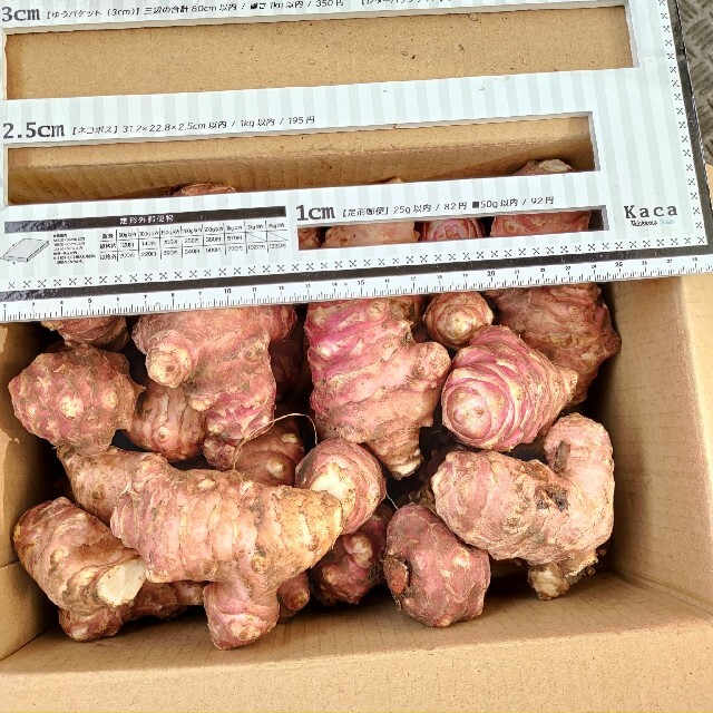 自然栽培 赤菊芋 紫菊芋 約2 5kg 無肥料 無農薬 無除草剤 の通販 By Muneka S Shop ラクマ