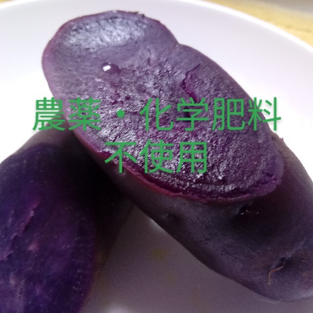 💜ﾊﾟｰﾌﾟﾙｽｲｰﾄﾛｰﾄﾞ３kg農薬化学有機肥料不使用さつまいも🍠 食品/飲料/酒の食品(野菜)の商品写真