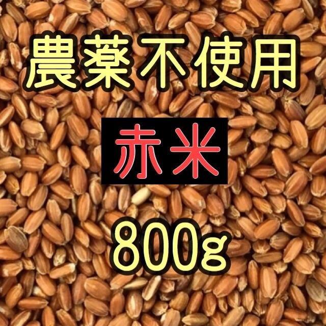 赤米（古代米）　愛媛県産　800ｇ 食品/飲料/酒の食品(米/穀物)の商品写真