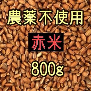 赤米（古代米）　愛媛県産　800ｇ(米/穀物)