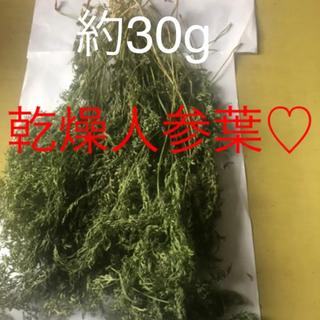 乾燥人参葉、約30g！(小動物)