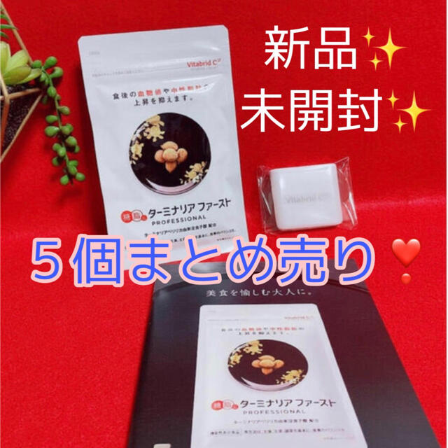 【超人気❣️】ターミナリアファースト５個セット  新品✨