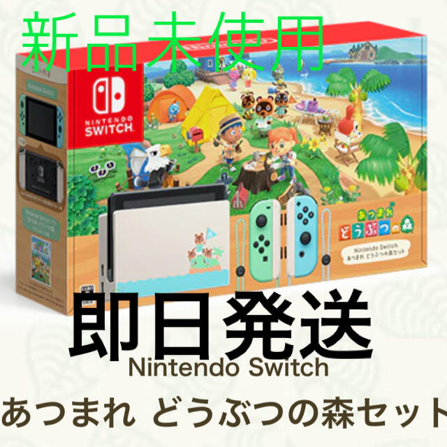 Nintendo Switch - どうぶつの森　スイッチ　本体　ニンテンドー　グレー