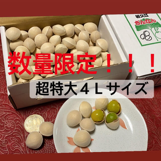 祖父江銀杏 藤九郎 超特大4Lサイズの通販 by 祖父江銀杏農家's shop|ラクマ