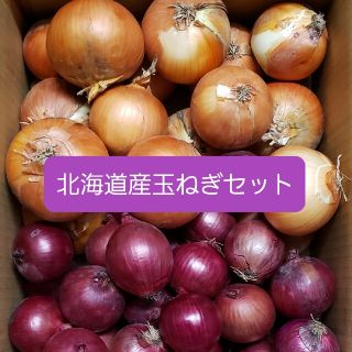 北海道産赤玉ねぎ【アーリーレッド】＋玉ねぎセット各５キロ　約１０キロ訳あり品(野菜)