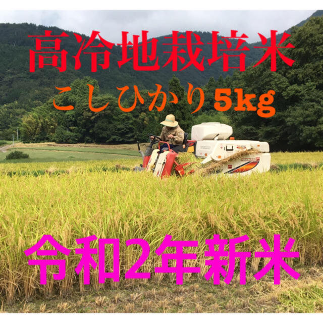 高冷地栽培米 5kg こしひかり新米 島根県産 食品/飲料/酒の食品(米/穀物)の商品写真