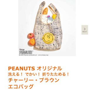 ピーナッツ(PEANUTS)のチャーリー　ブラウン　洗えるエコバッグ(エコバッグ)