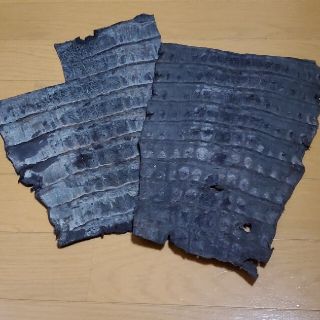 稀少 貴重 クロコダイル 鰐革 尻尾 ハンドメイド材料 革 生地の通販 by ...