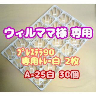 【専用システムトレー：白】2枚セット スリット鉢 プレステラ90用 他 多肉植物(プランター)