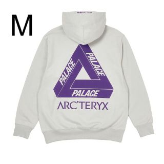 アークテリクス(ARC'TERYX)のpalace arc'teryx hoodie grey purple M(パーカー)