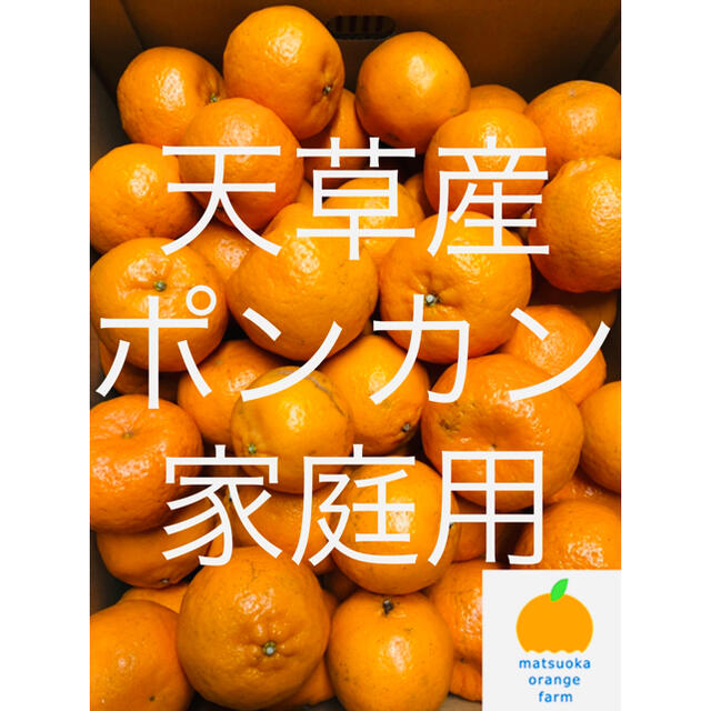 熊本県産 デコポン【不知火】箱込 20kg 家庭用