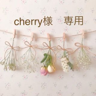 cherry様　専用(ロンパース)