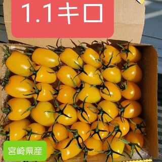 宮崎県産ミニトマトイエローアイコ(野菜)