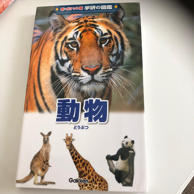 動物 増補改訂版 エンタメ/ホビーの本(絵本/児童書)の商品写真