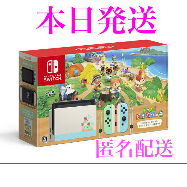 Nintendo Switch あつまれ どうぶつの森セット【匿名配送】