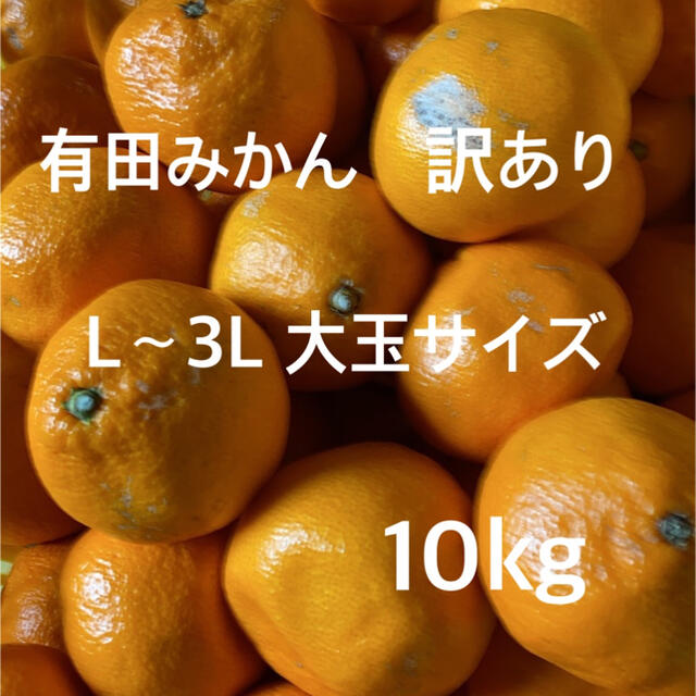 有田みかん L〜3L大玉サイズ　訳あり　10kg入り‼️ 食品/飲料/酒の食品(フルーツ)の商品写真