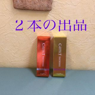 ナプラ(NAPUR)のケアテクト ポイントリタッチ ライトブラウン(15mL)(白髪染め)