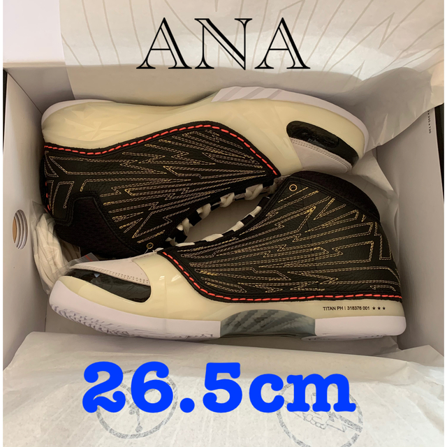 TITAN × NIKE AIR JORDAN 23 26.5cm