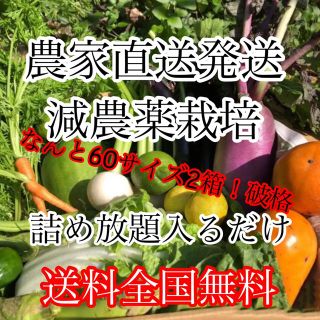 冬野菜詰め合わせ破格60サイズ2箱‼️ダンボール入るだけ(野菜)