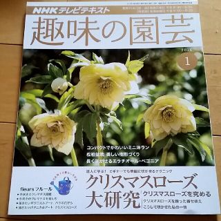 趣味の園芸　3冊(専門誌)