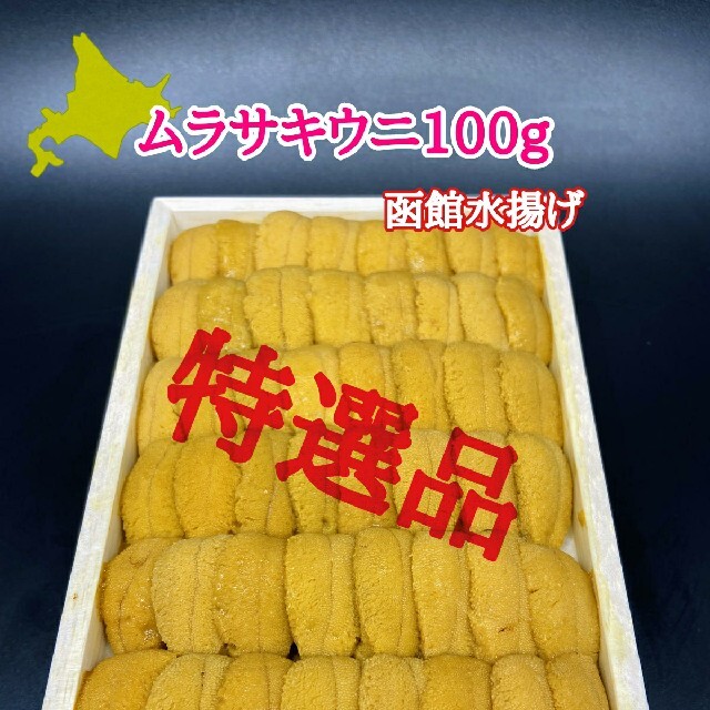 函館水揚げ高級　ムラサキウニ120g魚介