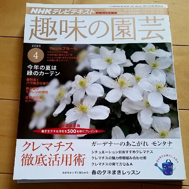 趣味の園芸　3冊 エンタメ/ホビーの雑誌(専門誌)の商品写真