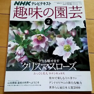趣味の園芸　3冊(専門誌)