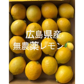 広島県産　無農薬　国産　レモン　小さめのサイズ　17個　産地直送　送料無料(フルーツ)