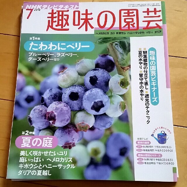 趣味の園芸　２冊 エンタメ/ホビーの雑誌(専門誌)の商品写真