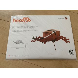 ボーネルンド(BorneLund)のhacomo ダンボール工作キット カブトムシクワガタ2枚セット(知育玩具)