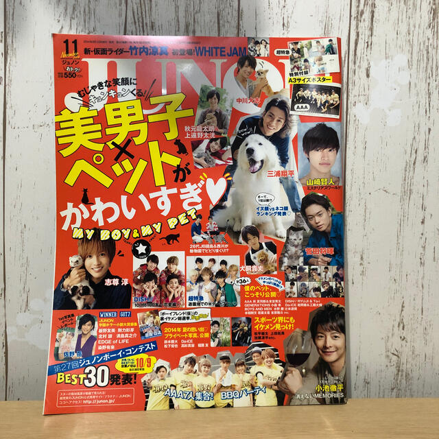 JUNON (ジュノン) 2014年 11月号 エンタメ/ホビーの雑誌(アート/エンタメ/ホビー)の商品写真