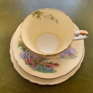 エインズレイ(Aynsley China)の【レア！】エインズレイ　ビンテージ　ブルーベルタイム　イエロー　トリオ(食器)