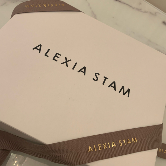 ALEXIA STAM(アリシアスタン)の新品未使用❤️ALEXIA STAM❤️完売商品☺︎エコバッグ大小❤️ギフトにも レディースのバッグ(エコバッグ)の商品写真