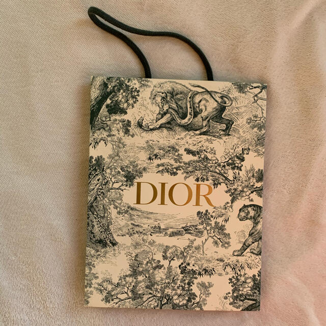 Dior(ディオール)の（週末限定）DIOR holiday限定ショッパー レディースのバッグ(ショップ袋)の商品写真