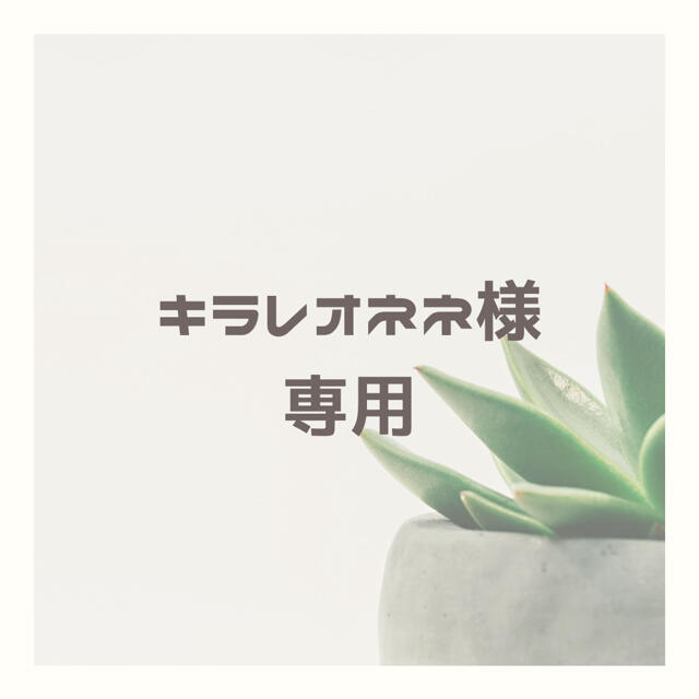 ルイヴィトン キーケース モノグラム 6連 - agrotendencia.tv