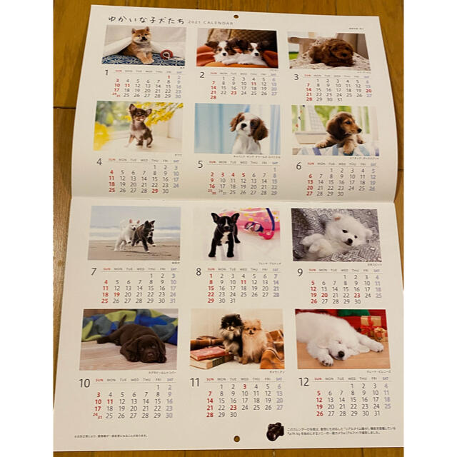 ソニー生命　2021 カレンダー　ゆかいな子犬たち インテリア/住まい/日用品の文房具(カレンダー/スケジュール)の商品写真