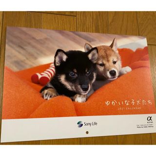 ソニー生命　2021 カレンダー　ゆかいな子犬たち(カレンダー/スケジュール)