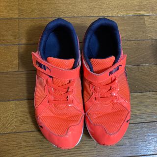 プーマ(PUMA)のPUMA  22センチ(スニーカー)