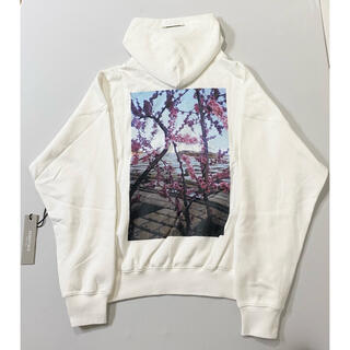 フィアオブゴッド(FEAR OF GOD)のFOG Essentials Photo Series Hoodie 新品　本物(パーカー)